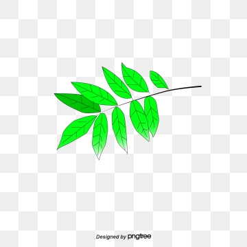Twig Vector Png, Vector, And Clipart With Transparent 360x360 Twig Vector Png, Vector, And Clipart With Transparent