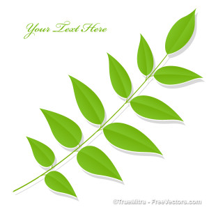 Download Free Leaf Twig Vector Vector Illustration 300x300 Download Free Leaf Twig Vector Vector Illustration