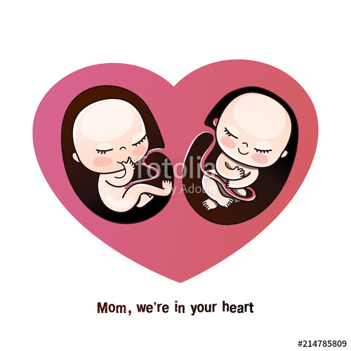 500x500 Twins Or Twins In The Mother's Womb Unborn Children Are Twins