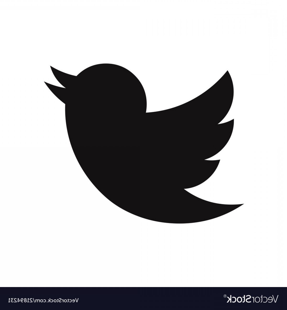 1200x1296 Twitter Bird Logo Icon Social Media Symbol Vector Cqrecords