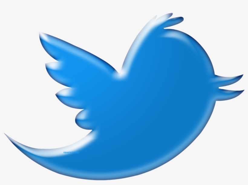 820x613 Twitter Birds Png Download Transparent Twitter Birds Png Images