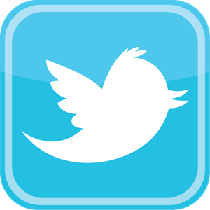 300x300 Twitter Logo Vectors Free Download