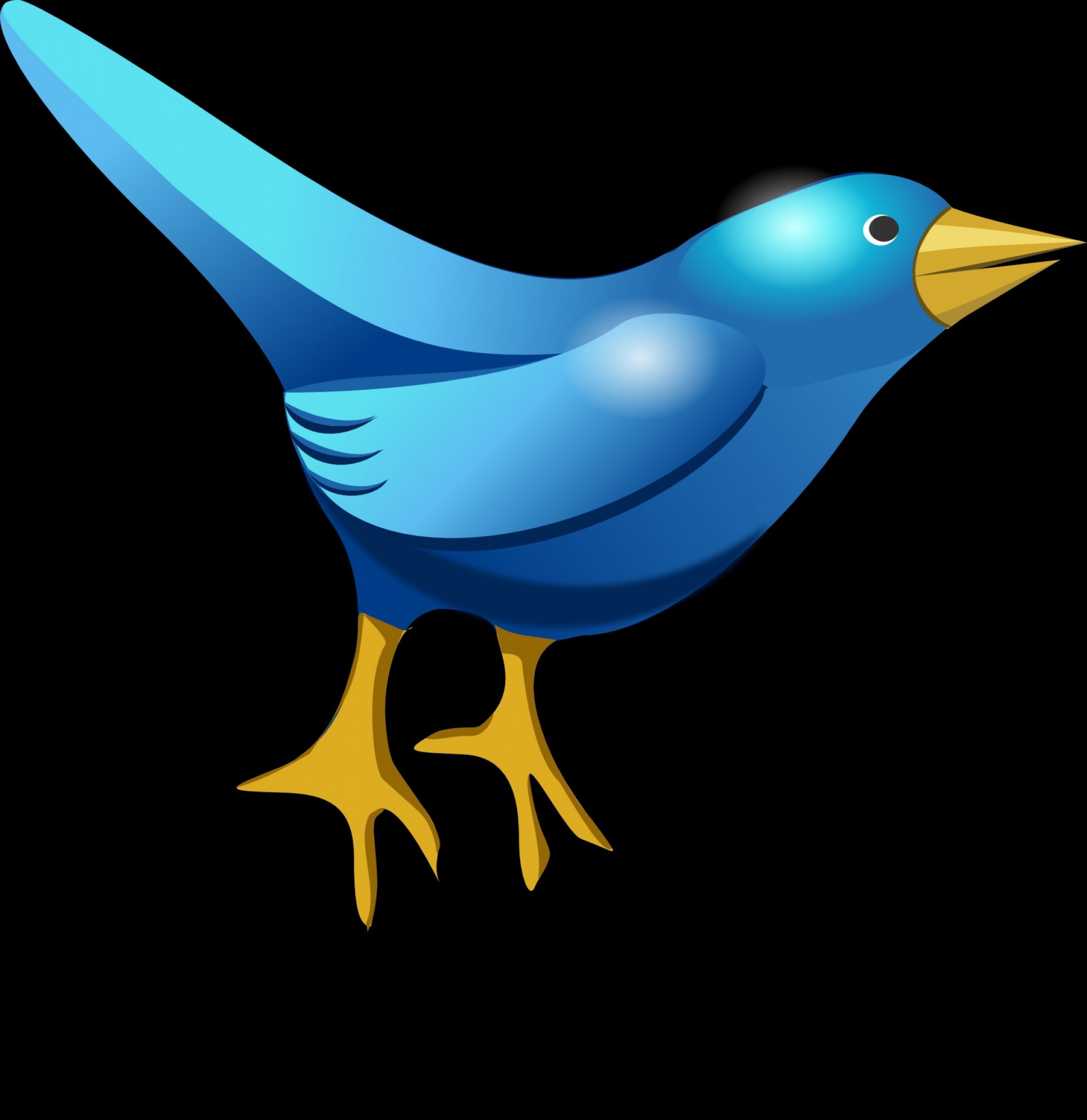2683x2764 Vector Background Bird White No Logo Twitter Lamaison