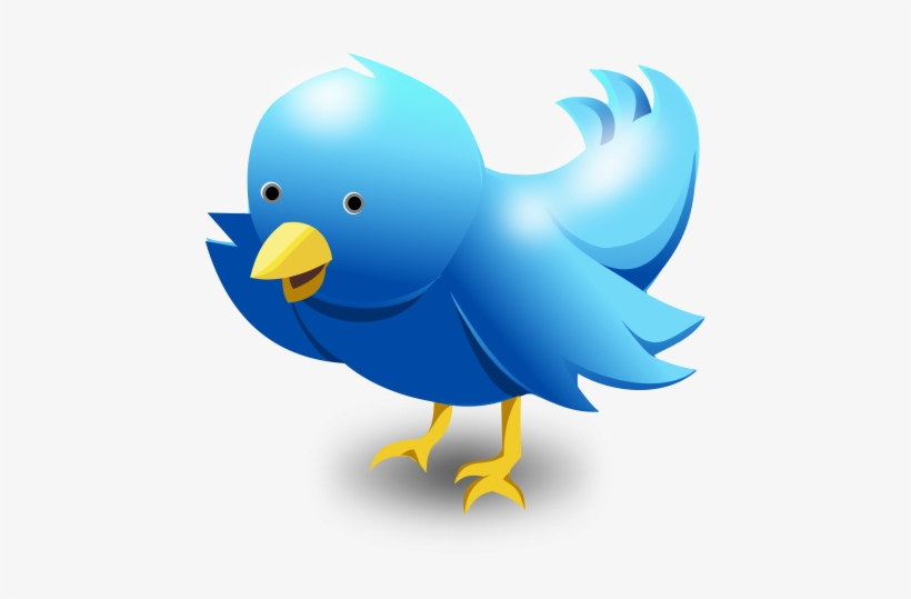 820x539 Twitter Bird Vector Png Transparent Image