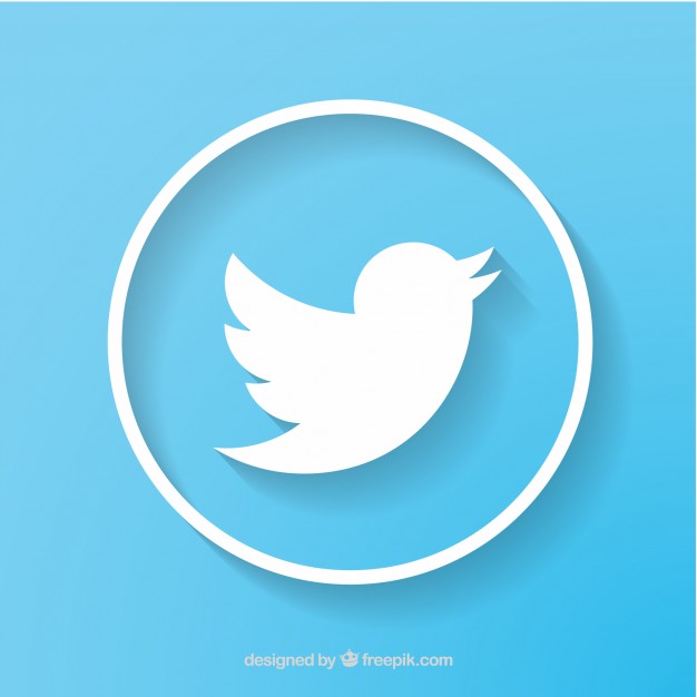 626x626 Twitter Bird Vectors, Photos And Free Download