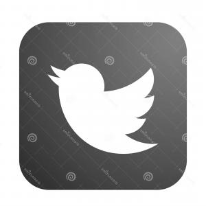 300x300 Twitter Logo Icon Bird Vector Black Element White Background