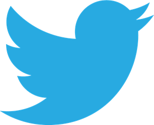 300x244 Twitter Logo Vector