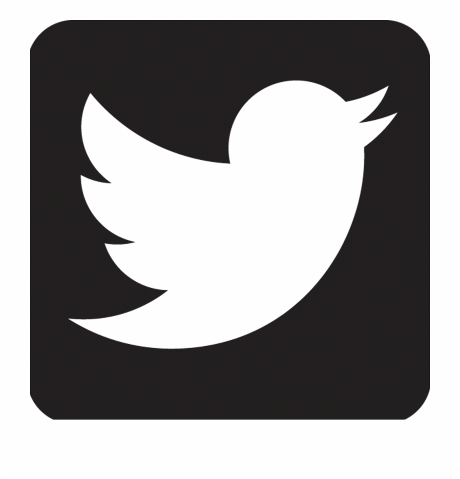 Twitter Icon Vector at Vectorified.com | Collection of Twitter Icon