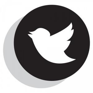 Twitter Logo Icon Vector Illustrations White Background Letter T 300x300 Twitter Logo Icon Vector Illustrations White Background Letter T