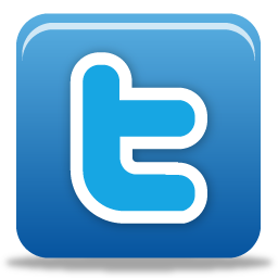 Icon Vector Twitter 256x256 Icon Vector Twitter