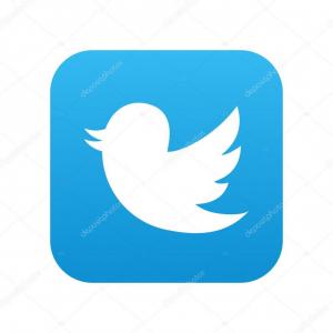 300x300 Free Twitter Bird Vector Series Soidergi