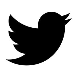 270x270 Twitter Logo Stencil Logos Logos, Logo Google, Stencils