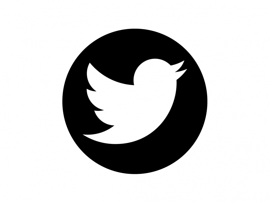 Twitter Vector Icon 866x650 Twitter Vector Icon