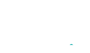 300x178 Twitter Logo Vector Png Twitter Logo White