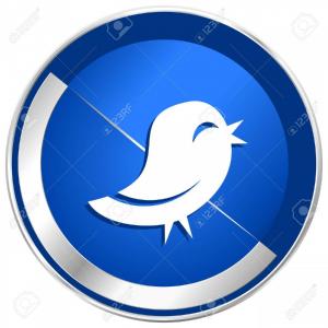 Stock Illustration Black Tweet Bird Vector Logo Twitter Icon 300x300 Stock Illustration Black Tweet Bird Vector Logo Twitter Icon