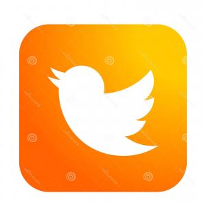 300x300 Stock Illustration Black Tweet Bird Vector Logo Twitter Icon