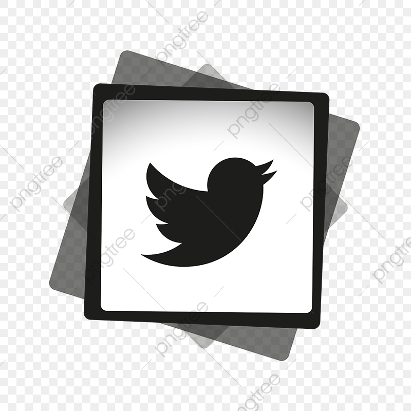 800x800 Twitter Black White Icon, Twitter Logo, Twitter Vector, Twitter