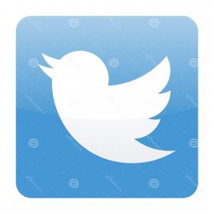 300x300 Twitter Logo Icon Bird Vector Black Element White Background