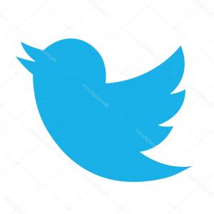 300x300 Free Twitter Bird Vector Series Hoodamathrun