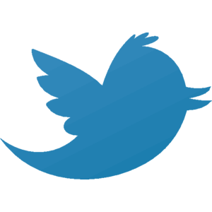 300x300 Twitter Logo, Vector Logo Of Twitter Brand Free Download