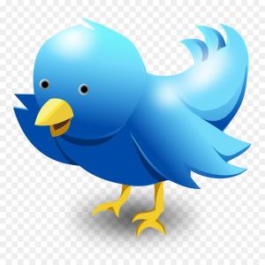 300x300 Twitter Bird Logo Icon Social Media Symbol Vector Newwaysys