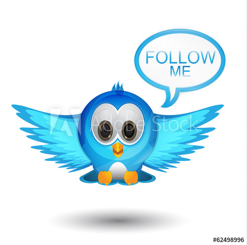 500x495 Follow Me Twitter Bird