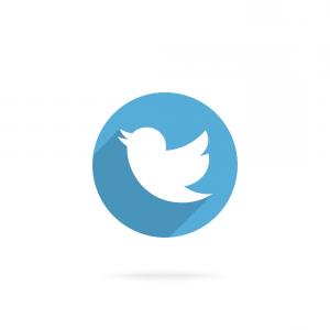 Twitter Bird Icon Vector Web Background Gm Lamaison 300x300 Twitter Bird Icon Vector Web Background Gm Lamaison