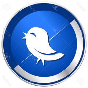 Twitter Flat Design Vector Web Icon Round Orange Internet Button 300x300 Twitter Flat Design Vector Web Icon Round Orange Internet Button