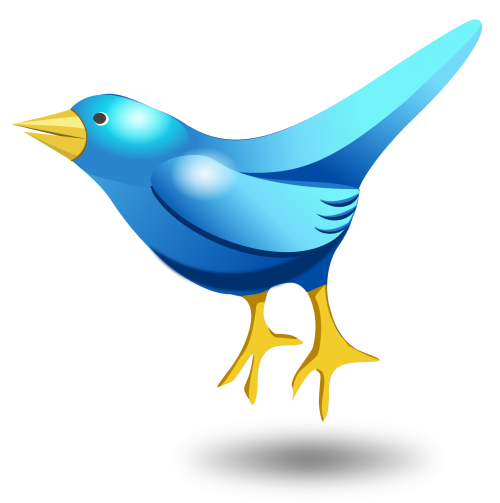 Twitter Tweet Bird Vector Png Transparent Image 500x503 Twitter Tweet Bird Vector Png Transparent Image