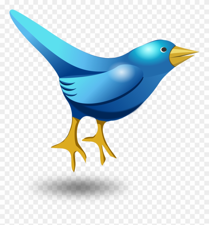 Blue Cartoon Bird,symbol Of Twitter Vector Download 880x946 Blue Cartoon Bird,symbol Of Twitter Vector Download