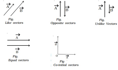 464x277 Different Types Of Vectors