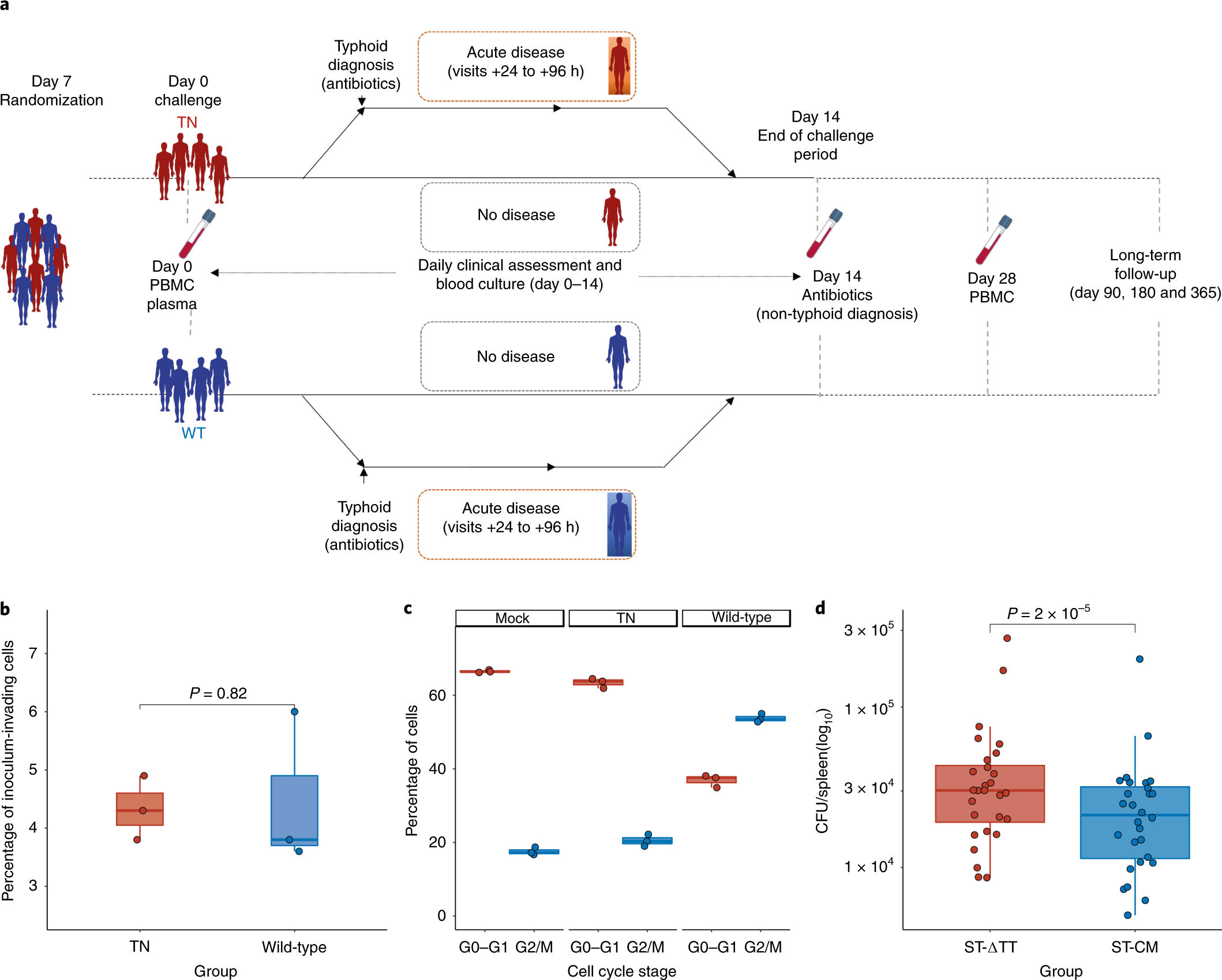 2118x1699 Investigation Of The Role Of Typhoid Toxin In Acute Typhoid Fever