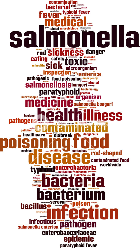 565x1000 Salmonella Word Cloud Concept Vector Illustration Royalty Free