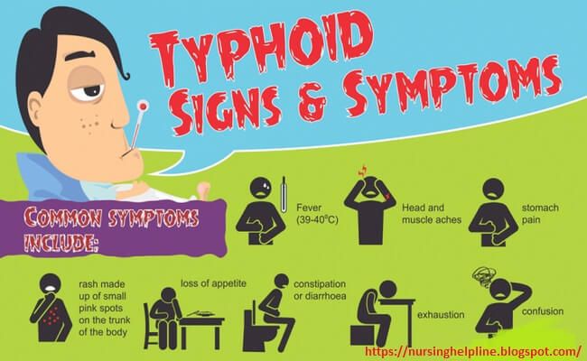 650x400 Sign And Symptoms Of Typhoid Fever Nursing Exercise Typhoid