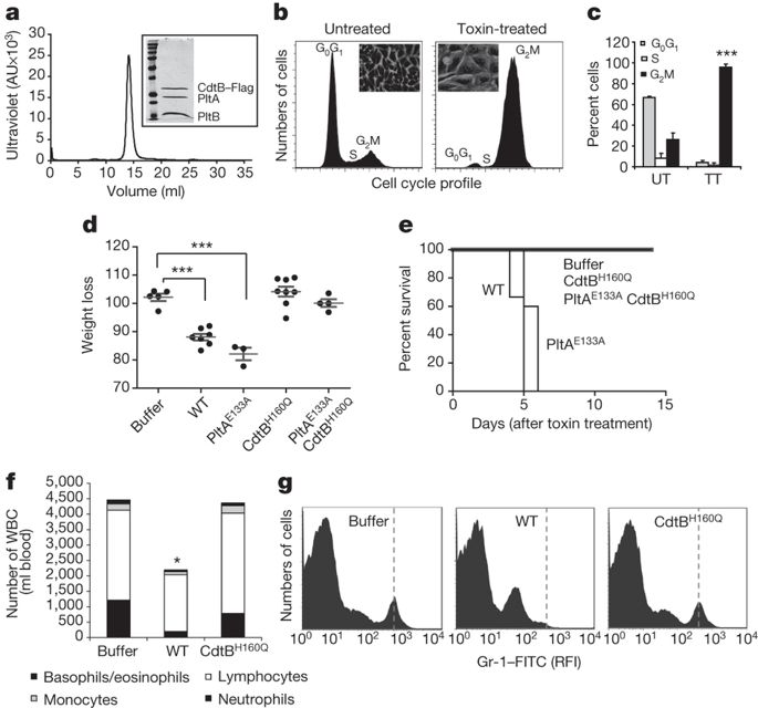 685x640 Structure And Function Of The Salmonella Typhi Chimaeric