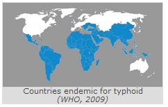 242x154 Typhoid Fever