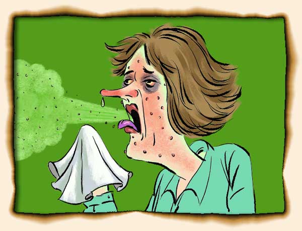 600x459 Typhoid Mary