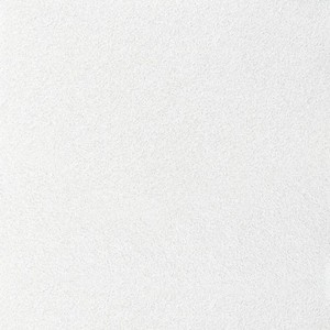 Armstrong Ultima Vector Border Clip Condell Ltd 300x300 Armstrong Ultima Vector Border Clip Condell Ltd