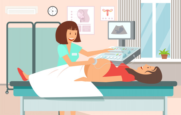 626x400 Ultrasound Scan Pregnant Vector Flat Illustration Vector