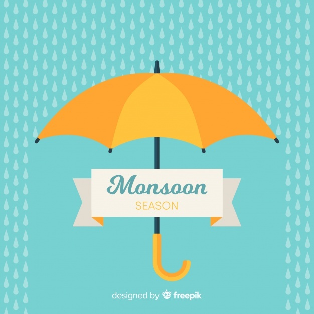 626x626 Umbrella Vectors, Photos And Free Download
