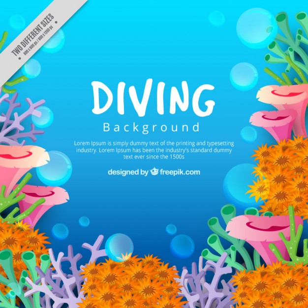 626x626 Under The Sea Vectors, Photos And Free Download
