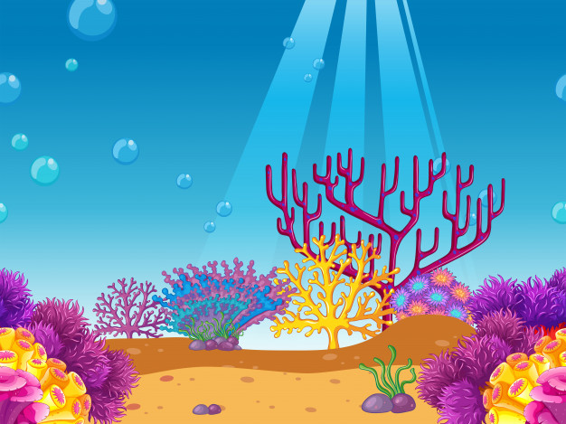 626x469 Coral Reef Under The Sea Background Vector Free Download
