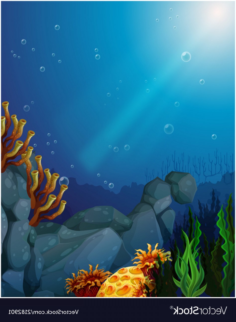 948x1296 Corals And Seaweeds Under The Sea Vector Hoodamathrun