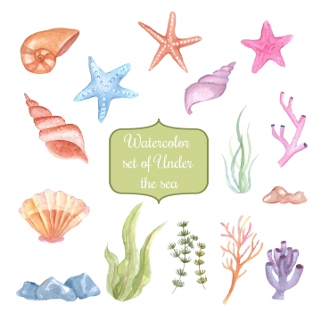 360x360 Under The Sea Png, Vector, And Clipart With Transparent
