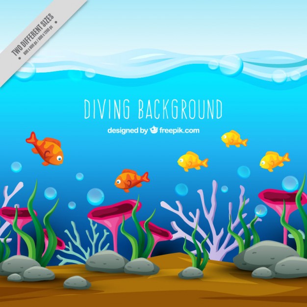 626x626 Under The Sea Vectors, Photos And Free Download