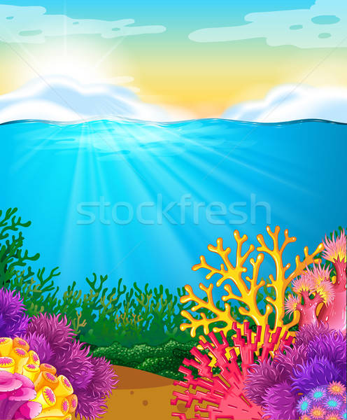496x600 Coral Reef Under The Sea Vector Illustration Daniel Cole