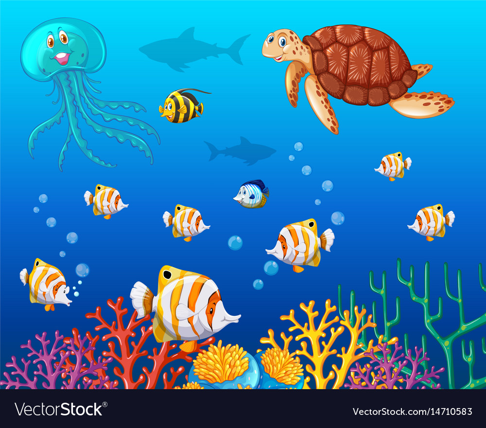 1000x881 Endorsed All Sea Animals Pictures Many Types Of Under The Ocean