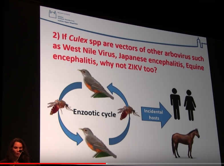 784x582 Rosewrites A Blog For The Underdog