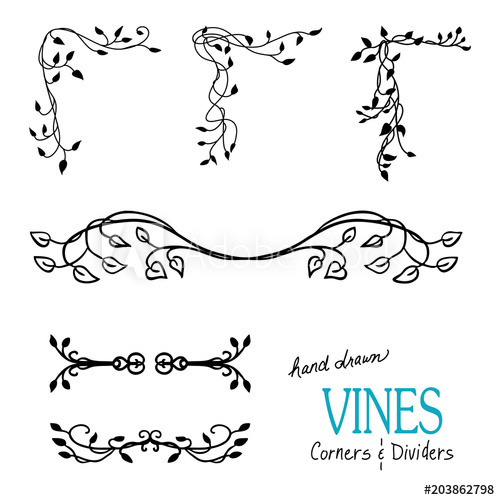 500x500 Ivy And Vine Design Elements With Flourishes Curls And Swirls