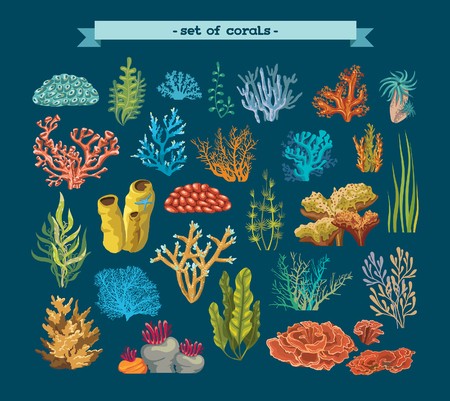 450x401 Set Of Colorful Corals And Algaes On A Blue Background Natural
